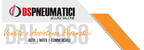 Logo DS Pneumatici - Vendita Pneumatici Auto, moto e Autocarro a Caserta